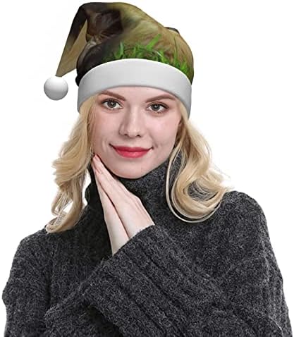 Noel baba şapkası Yavru ve Köpek Noel Şapka Yetişkin Unisex Noel Noel baba şapkaları Noel Yeni Yıl Şenlikli Tatil Parti Malzemeleri