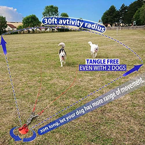 Pestairs Köpek Kravat Out Kablo ve Kazık - 360° Hiçbir Arapsaçı Ağır Spiral Köpek Yard Kazık ve Tasma için Küçük için Büyük Köpekler