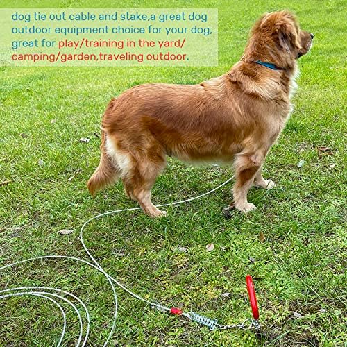 Köpek Kravat Out Kablo ve Bahis-Ağır Uzun Köpek Tasma 20ft 30ft Meidum için Büyük Köpekler - Arapsaçı Ücretsiz Halat Köpek Tasma