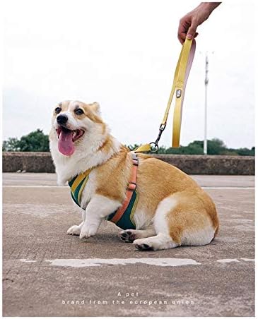FEGOCLT Köpek Koşum Tasma Seti Ayarlanabilir Naylon Örgü Yastıklı Nefes Yelek Dayanıklı Pet Eğitim Yürüyüş Tasmalar Tasması Büyük
