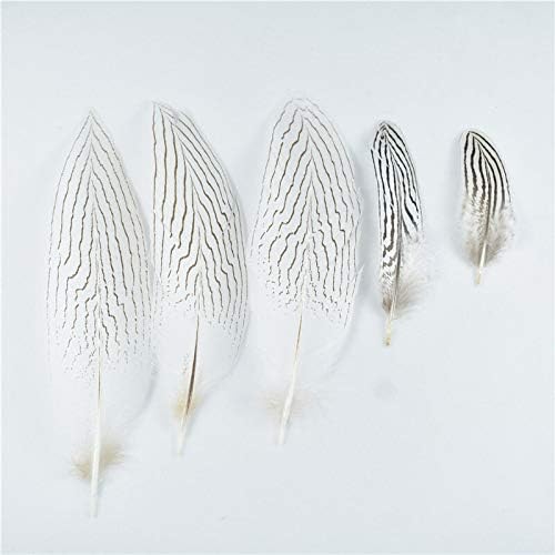 BLUEMİNT 100 adet / grup 10-30 CM 4-12 İnç Doğal Gümüş Sülün Kuyruk Tüyleri El Sanatları Düğün Süslemeleri için Şık DIY El Sanatları