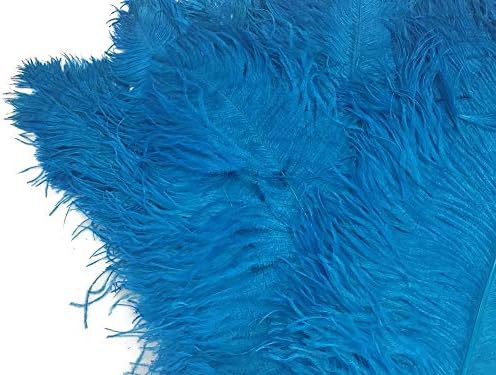 1/2 Lb. - 18-24 Turkuaz mavi büyük devekuşu kanat tüy toptan tüyler (Toplu) karnaval kostüm Centerpiece / mehtap tüy