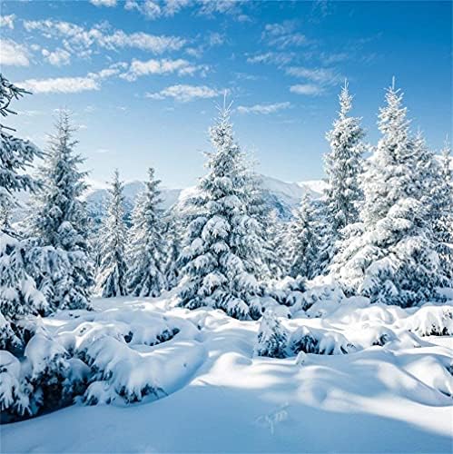 CSFOTO 5x5ft sevgililer Günü Arka Plan için Kış Orman Manzara Kar Sahne Fotoğraf Backdrop Beyaz Dünya Kar Soğuk Don Güneşli Wonderland