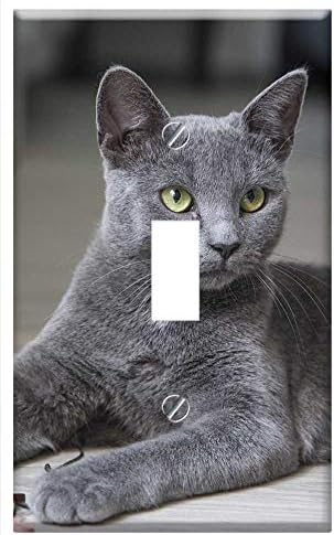 Anahtarı Plaka Tek Geçiş-Kedi Kabarık Kedi Yavrusu Kitty Mavi Cins Pet