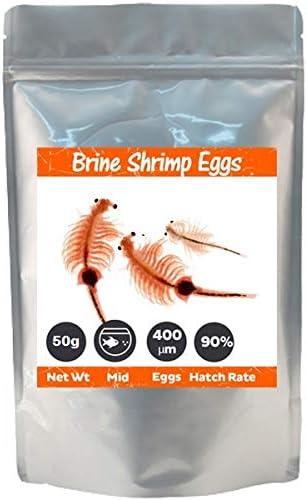 En iyi Evcil Hayvanlar Salamura Karides Yumurtaları Artemia Kistleri %90 Kuluçka Oranı Balık Yemi-50 Gramm