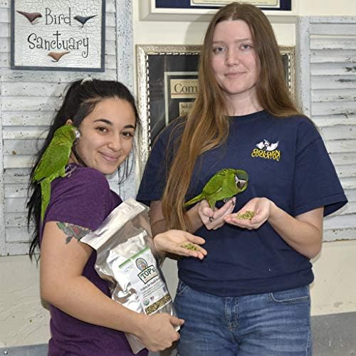 Küçük Hookbills için Top'un Papağan Gıda Kuş Peletleri-GDO'suz, Yer Fıstığı Soya ve Mısır İçermez, USDA Organik Sertifikalı