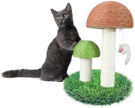 ZaneSun Kedi tırmalama, mantar Tırmalama için Kitens ve Küçük Kedi, doğal Sisal Kedi Scratchers için Kapalı Kediler